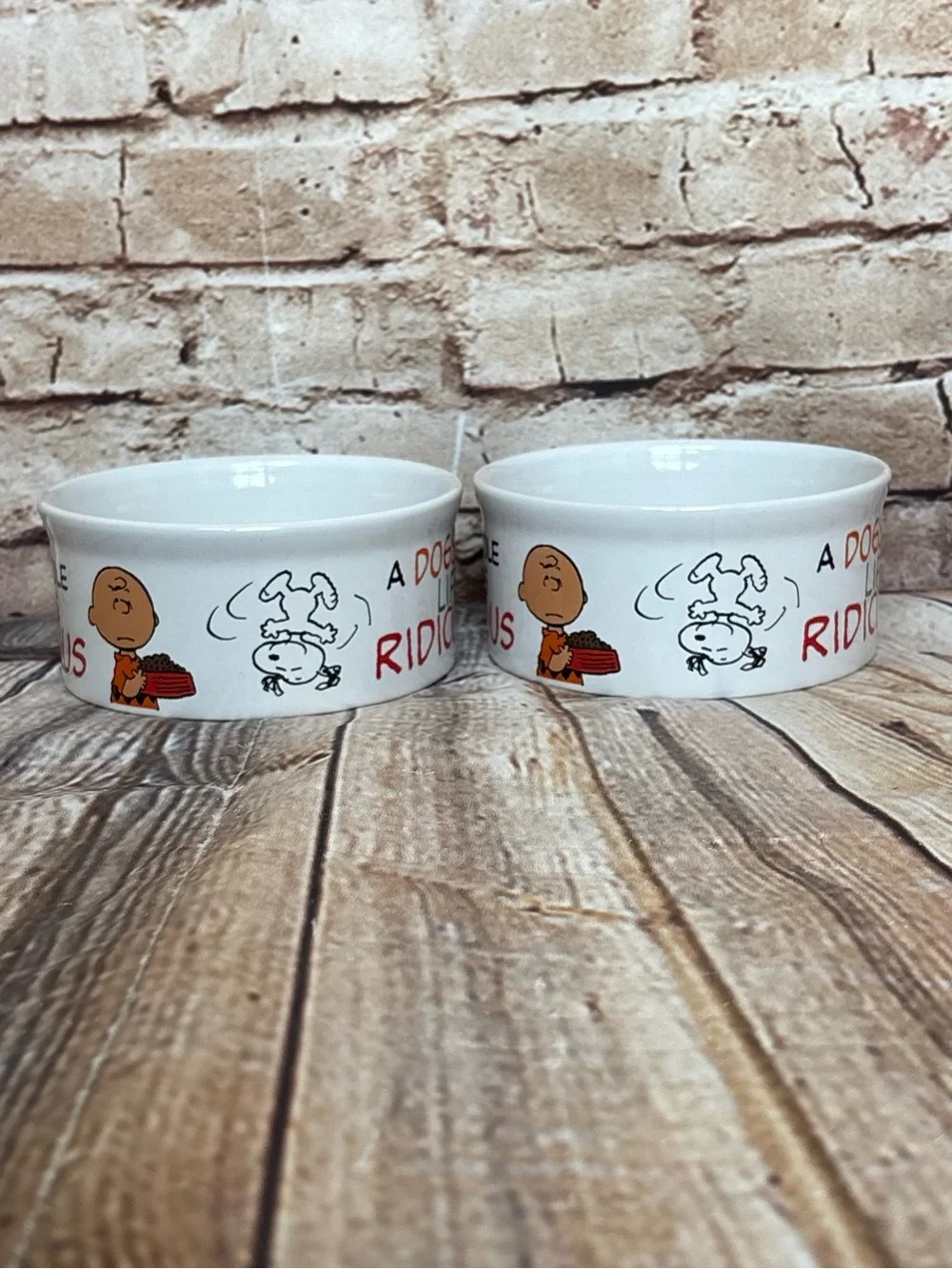 Peanuts Snoopy Charlie Brown Dog Cat Ceramic Pet Food Water Bowls Set 4.5